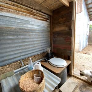 Composting toilet for studio